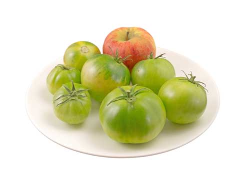 Can Apples and Green Tomatoes Help Your Muscles Stay Strong as You Age?