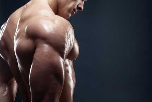 Can Having More Muscle Help You Live Longer?