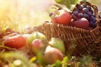 Is Organic Fruit More Nutritious?