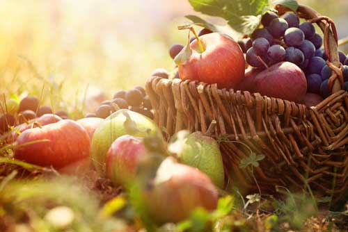 Is Organic Fruit More Nutritious?