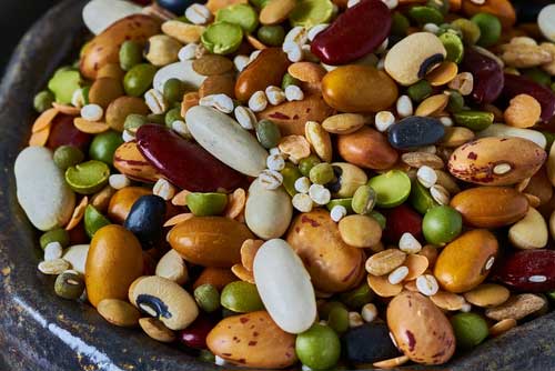 Can eating a single serving daily of legumes help you lose weight?