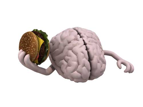 New Insights into How Your Brain Tells You to Stop Eating