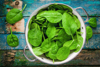 Can Nitrates in Green, Leafy Vegetables Enhance Exercise Performance?