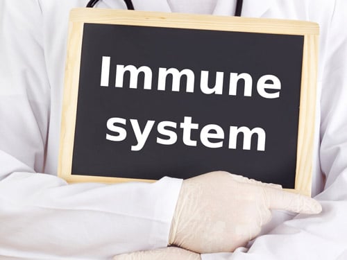 What Happens to Your Immune System as You Age?