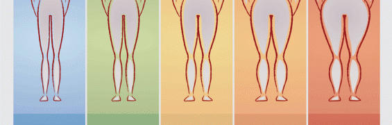 6 Reasons Why BMI is Not the Best Indicator of Whether You’re a Healthy Body Weight 6 Reasons Why BMI is Not the Best Indicator of Whether You’re a Healthy Body Weight