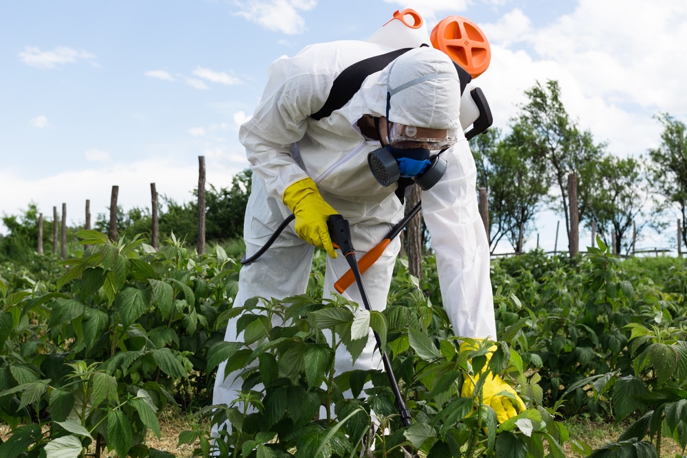 Is Organic Produce Really Free of Pesticides?