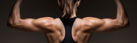 Strength Training: Why You Need to Focus More on Your Posterior Chain Strength Training: Why You Need to Focus More on Your Posterior Chain