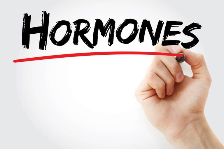 5 Hormones And How They Affect Your Body Composition 