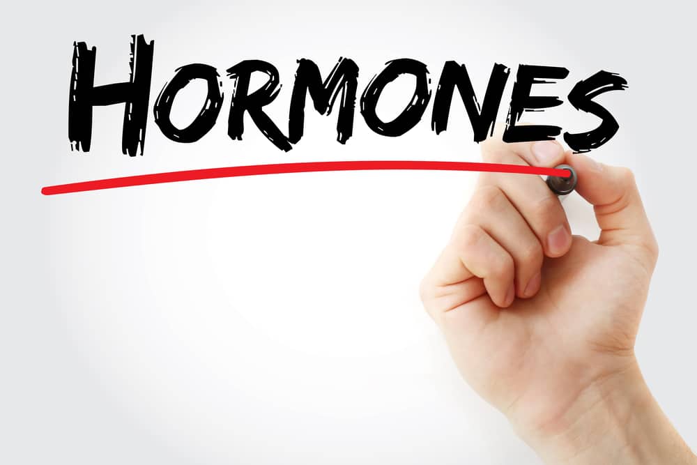 Body composition and hormones