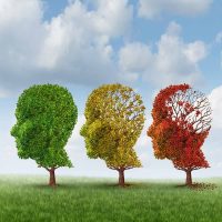 image of three trees with vanishing leaves to illustrate Alzheimer’s Disease