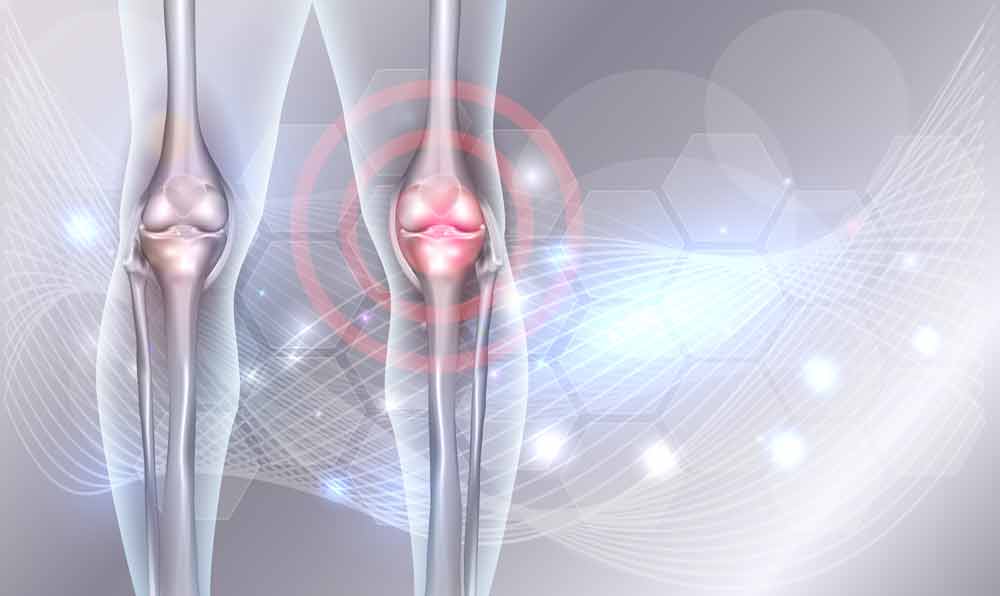 image showing knee joints