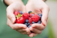 image of hands holding fresh berries that are commonly used in a Nordic diet