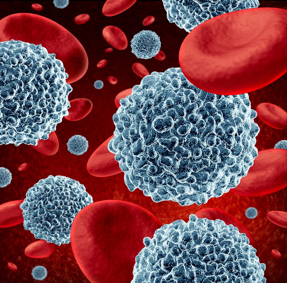image of white blood cells flowing through red blood as a microbiology symbol of the human immune system fighting off infections defending and protecting the body from infectious disease.