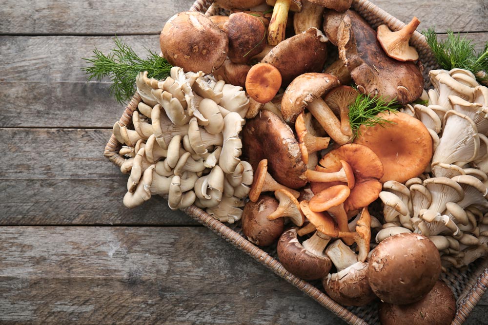 are-mushrooms-a-good-source-of-plant-based-protein-cathe-friedrich