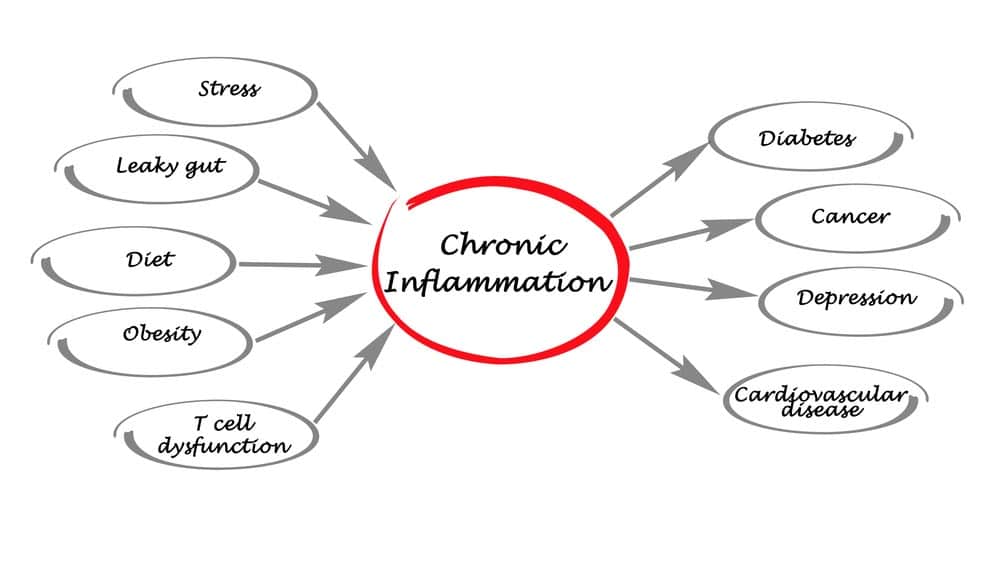 Exercise and inflammation reduction