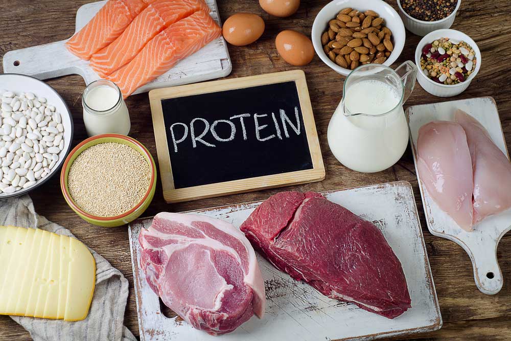 Which animal source of protein is the healthiest?