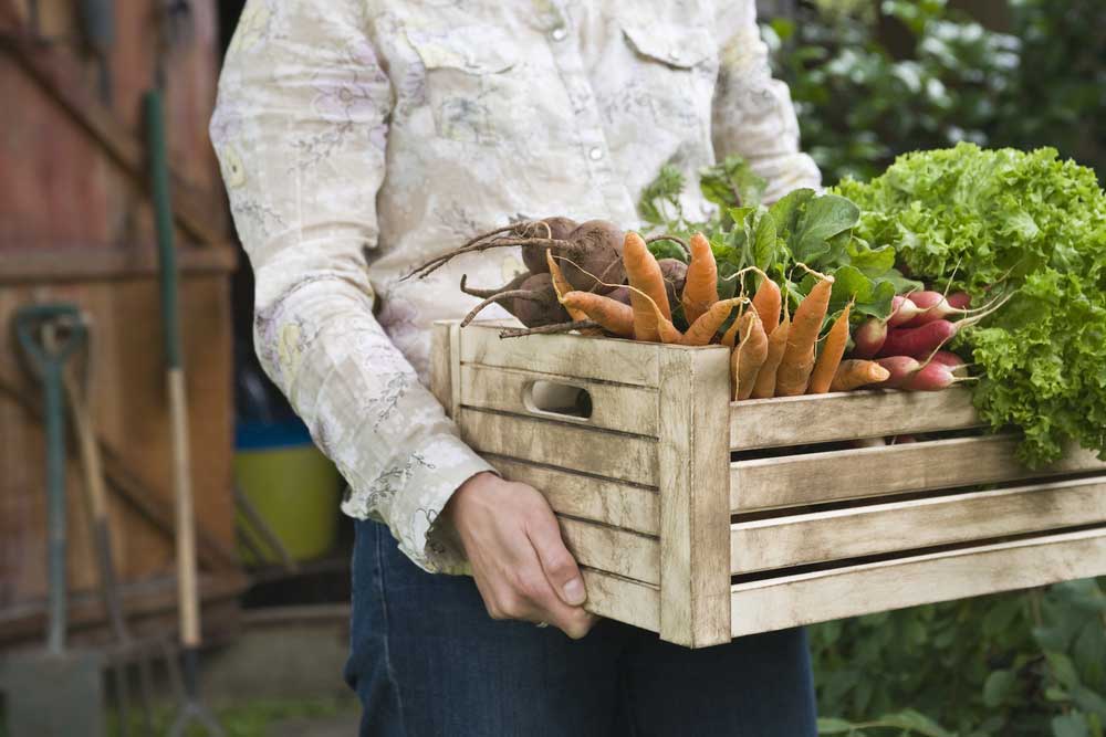 Is organic food really organic?