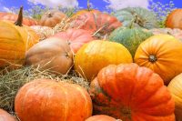 Visit your local farmer's market for fresh autumn produce.