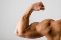 Can you really change the shape of your muscles?