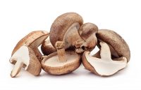 Can a particular mushroom help to keep you healthy this winter?