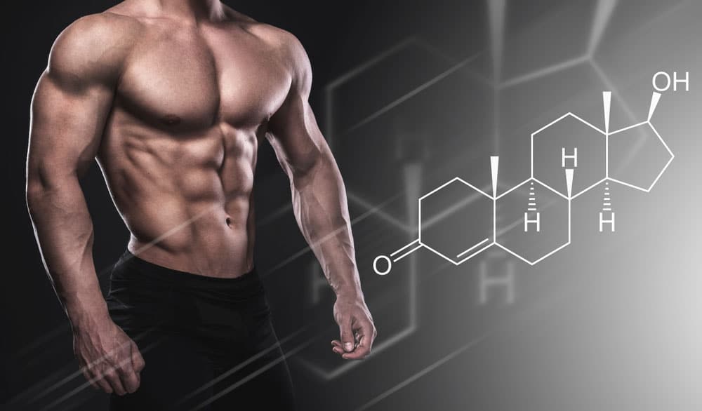 anabolic hormones