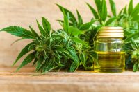 Cannabidiol oil is just one of the 2019 fitness and wellness trends