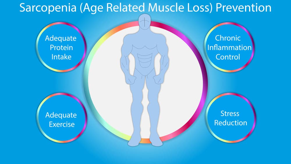 Over 50? Avoid age-related muscle loss