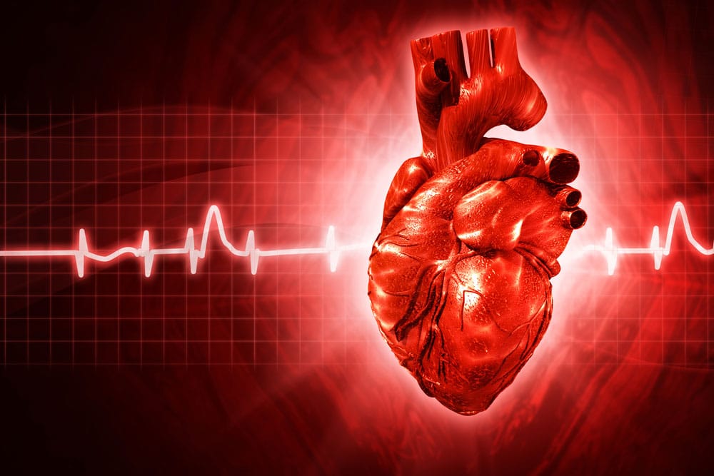 beyond-heart-disease-why-exercise-lowers-health-problems-risk