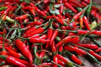 Can Hot Chili Peppers boost your metabolism