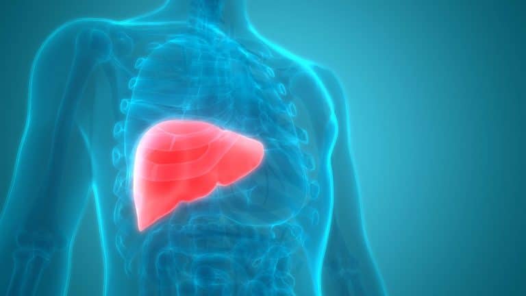 Exercise and liver