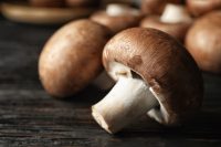 Mushrooms & Brain Health