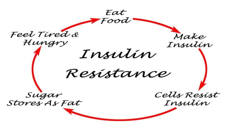 Insulin Resistance