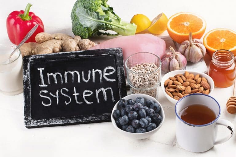 Immune system