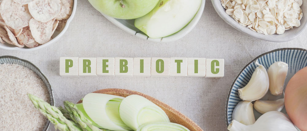 Beyond Probiotics: The Power of Prebiotics to Nurture Your Gut