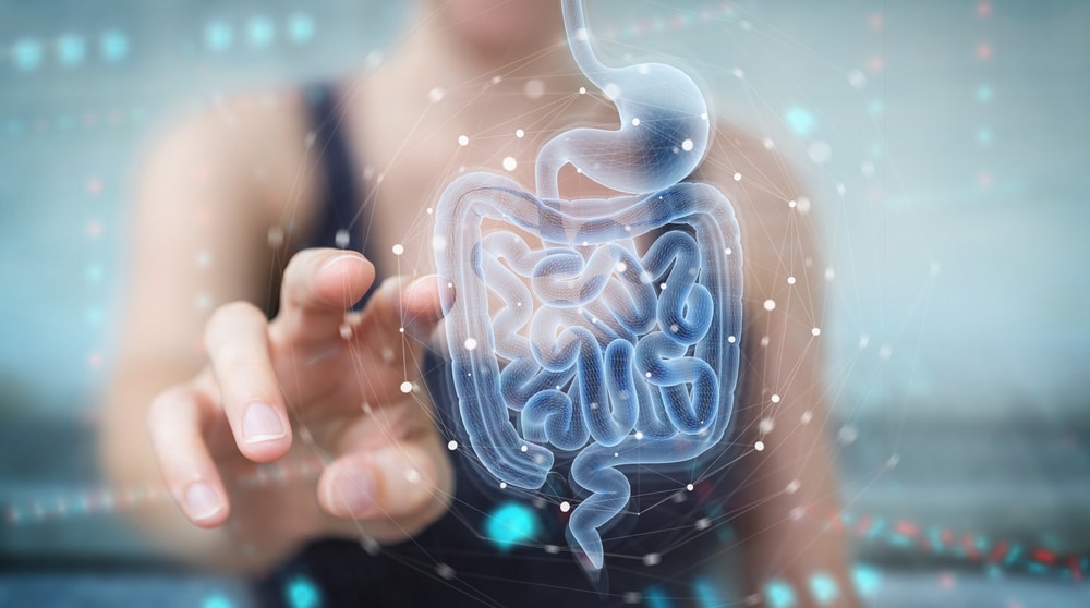 It's important to have a healthy gut microbiome