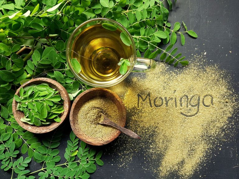 Moringa