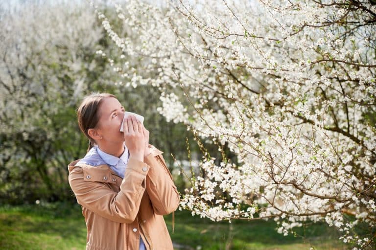 Seasonal Allergies