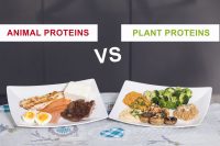 Pant-based protein vs. animal-based protein