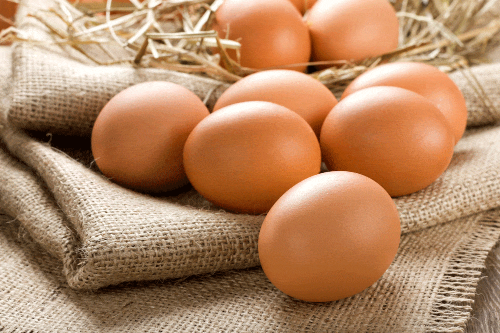 Egg labels explained