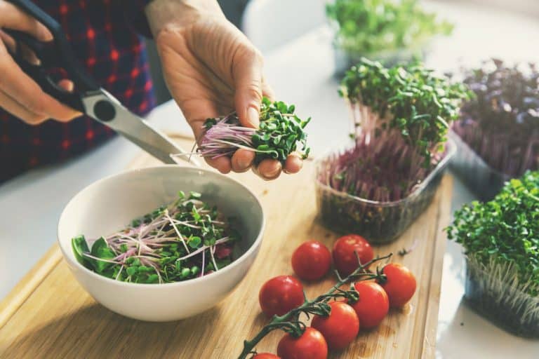 Microgreens