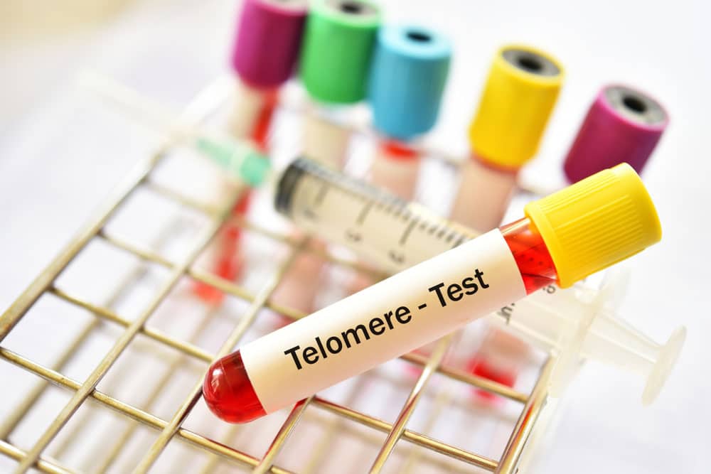 Telomere Connection