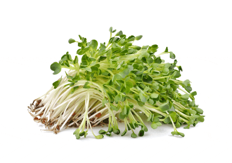 Raw sprouts