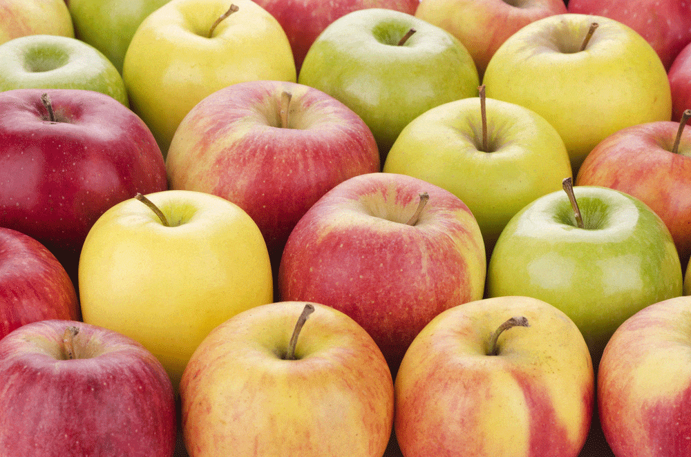 Types of Apples: Is One More Nutritious Than Another? • Cathe Friedrich