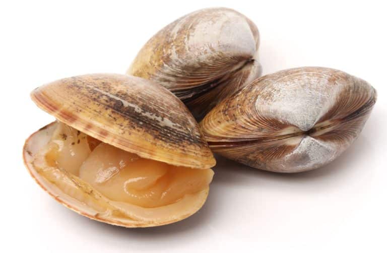 Heavy metals in seafood