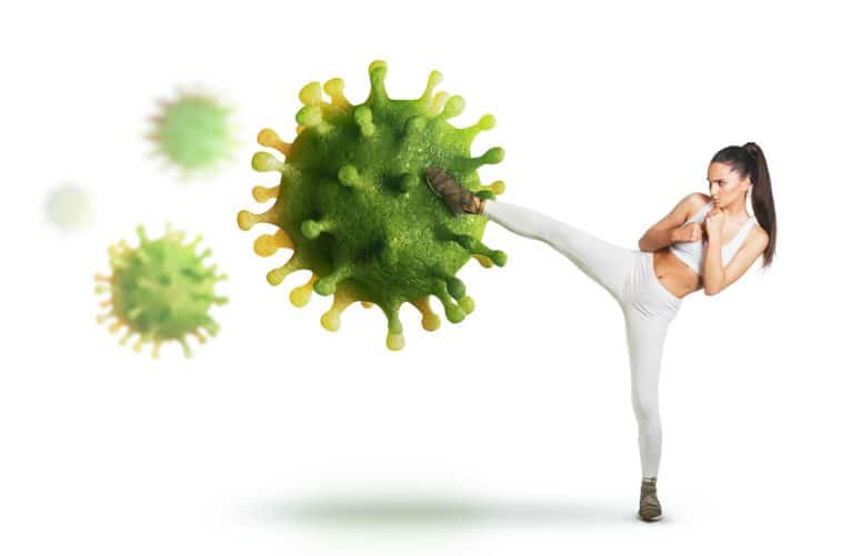 Immune System