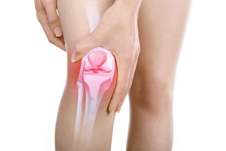 knee health