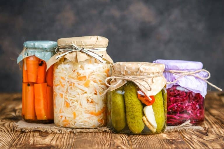 Fermented Foods and anxiety