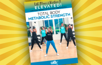 Lift Move & Restore 2 Elevate Free Download